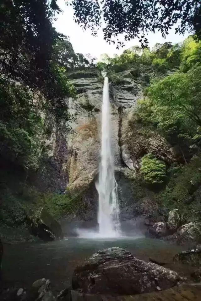 植物大战僵尸9